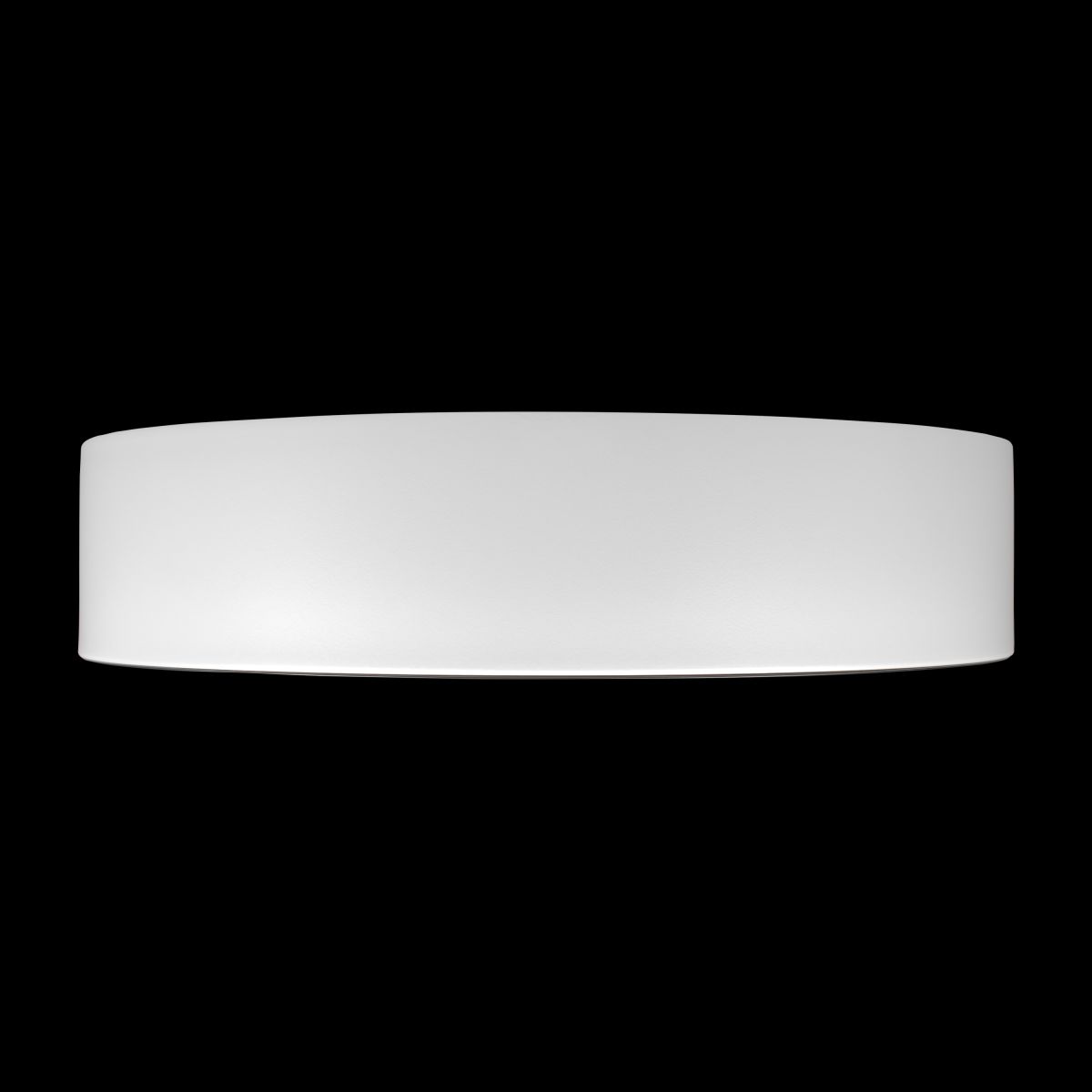 Потолочный светильник Loft IT Coin 10202 WB в Санкт-Петербурге