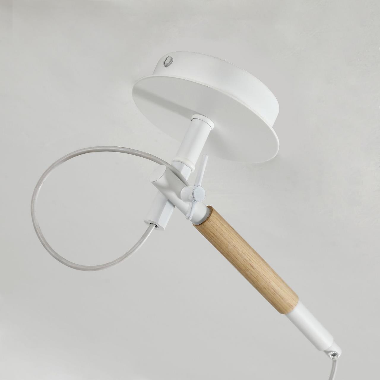 Настенно-потолочный светильник F-Promo Eureka 3005-1P в #REGION_NAME_DECLINE_PP#