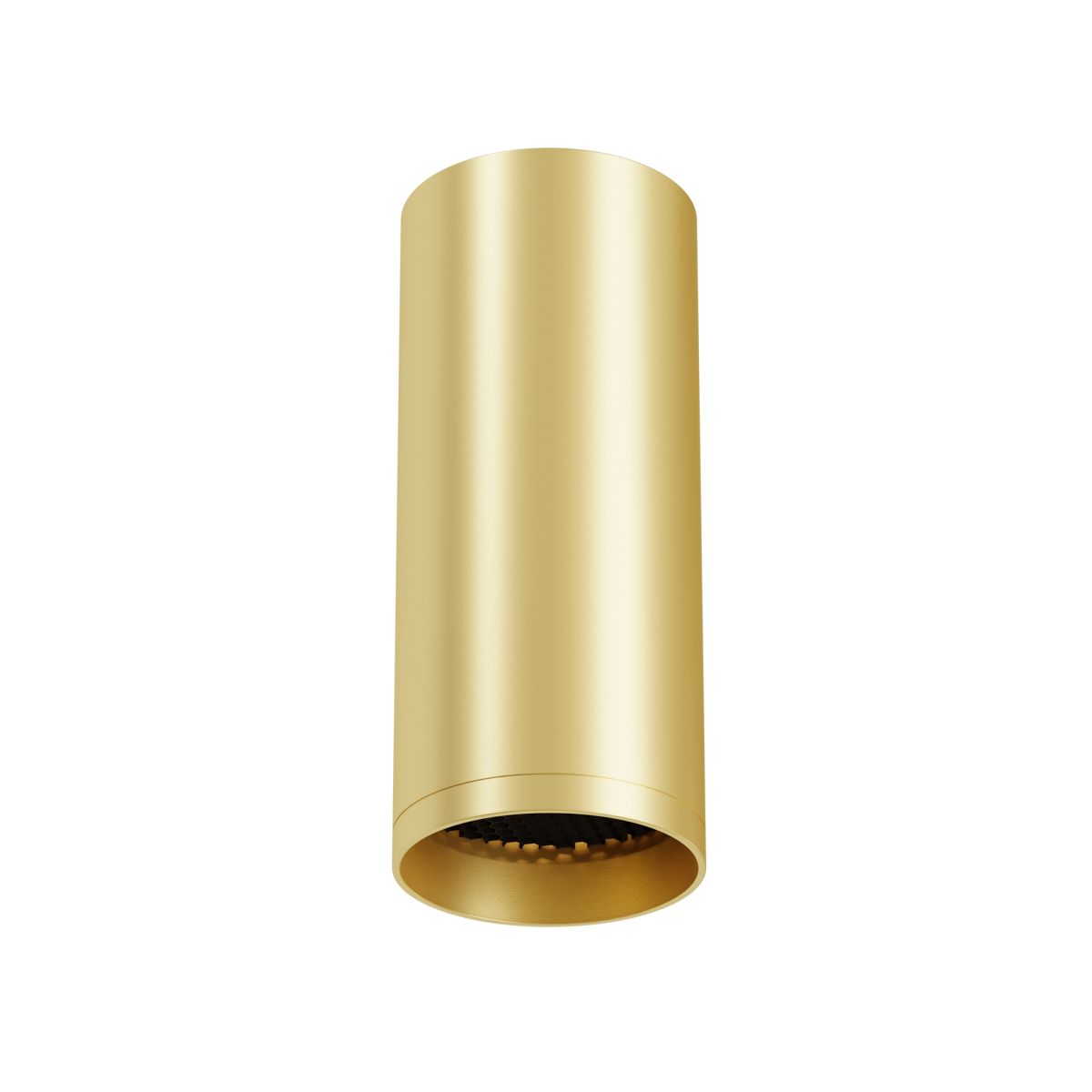 Потолочный светильник Maytoni Technical Focus C010CL-01MG-N в Санкт-Петербурге