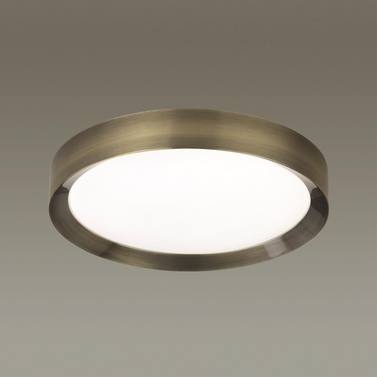 Настенно-потолочный светильник Odeon Light Lunor 4948/45CL в Санкт-Петербурге