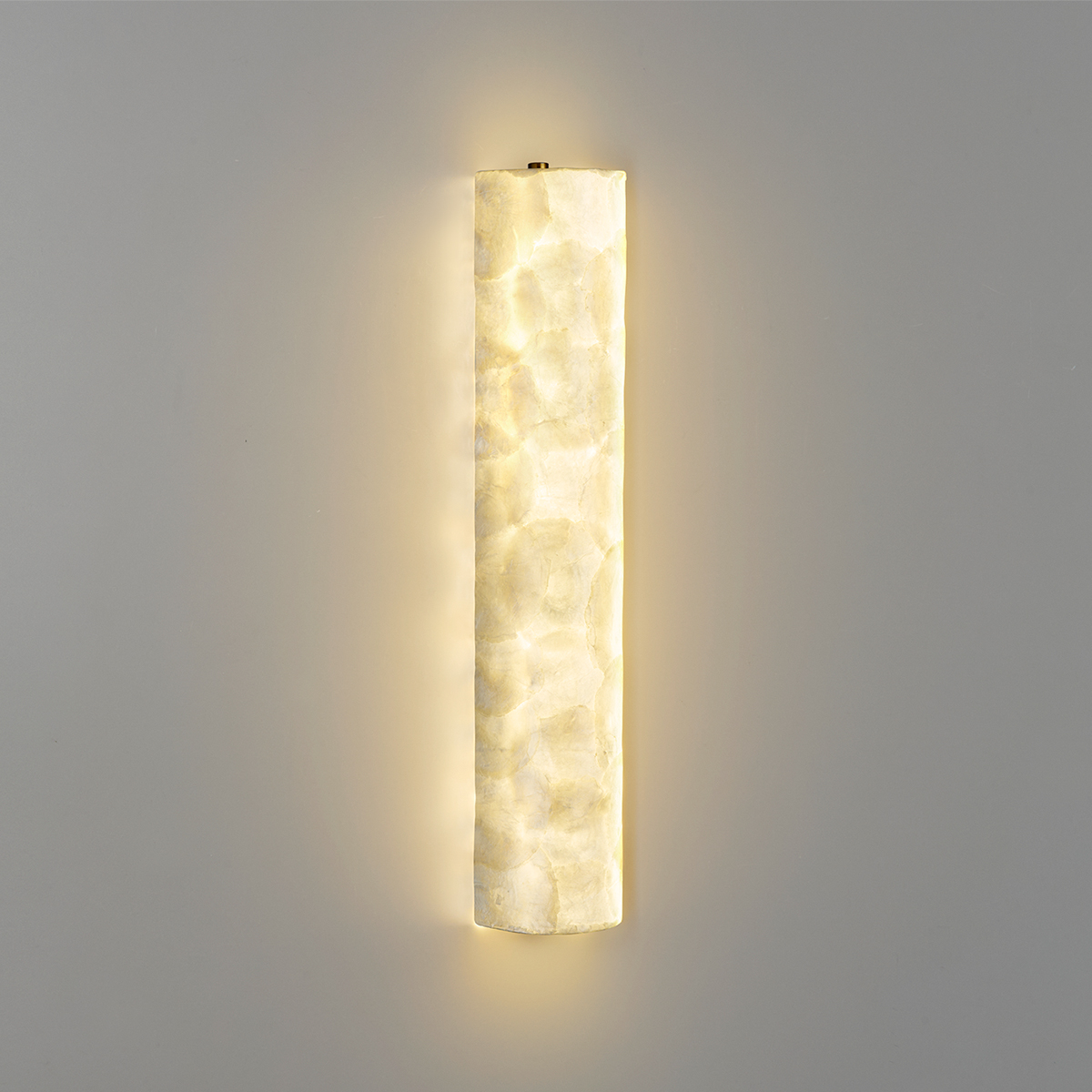 Настенный светильник Odeon Light Ecodesign Seashell 7199/10WL в Санкт-Петербурге