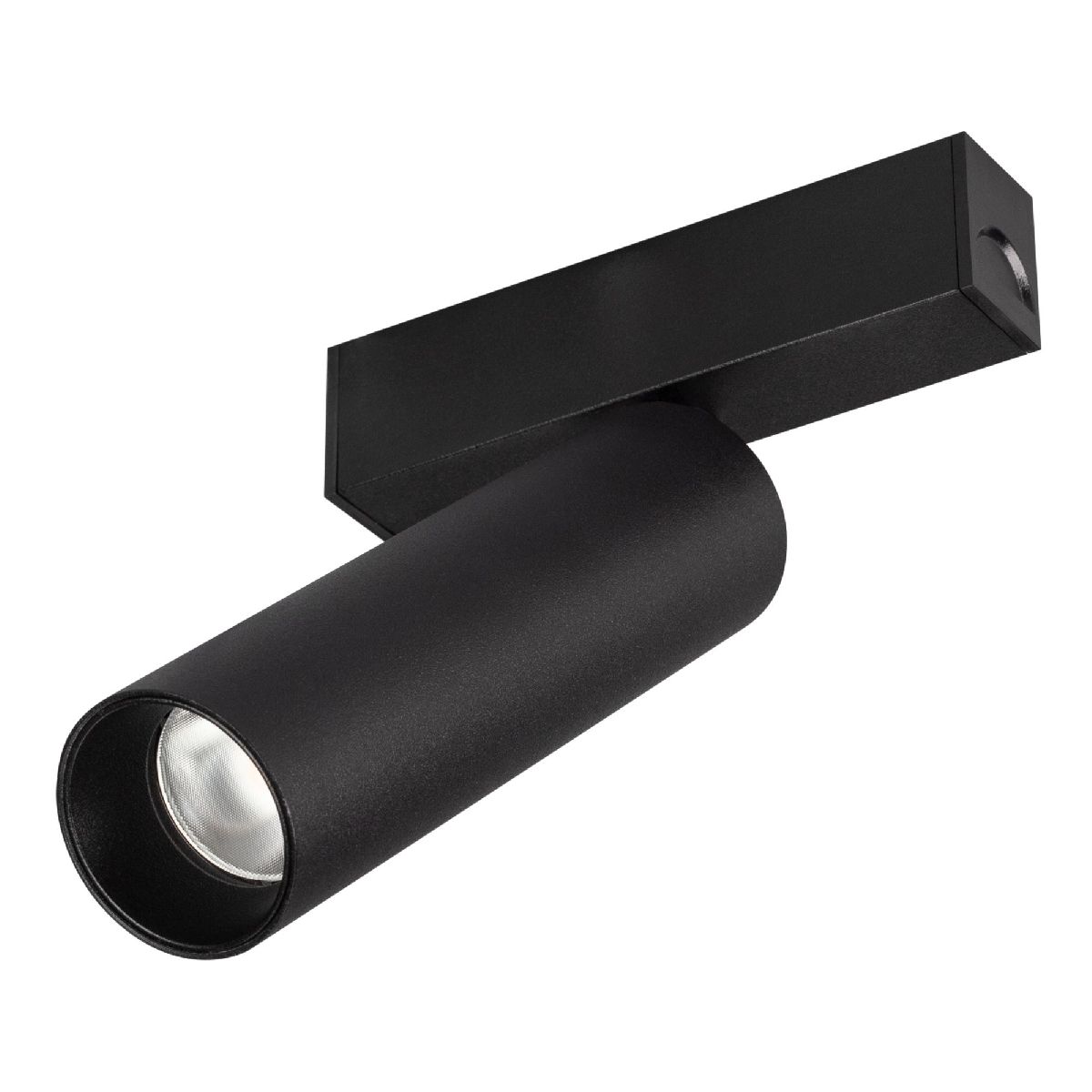 Трековый магнитный светильник Arlight MAG-SPOT-25-R120-12W Day4000 (BK, 30 deg, 24V, DALI) 046320 в Санкт-Петербурге