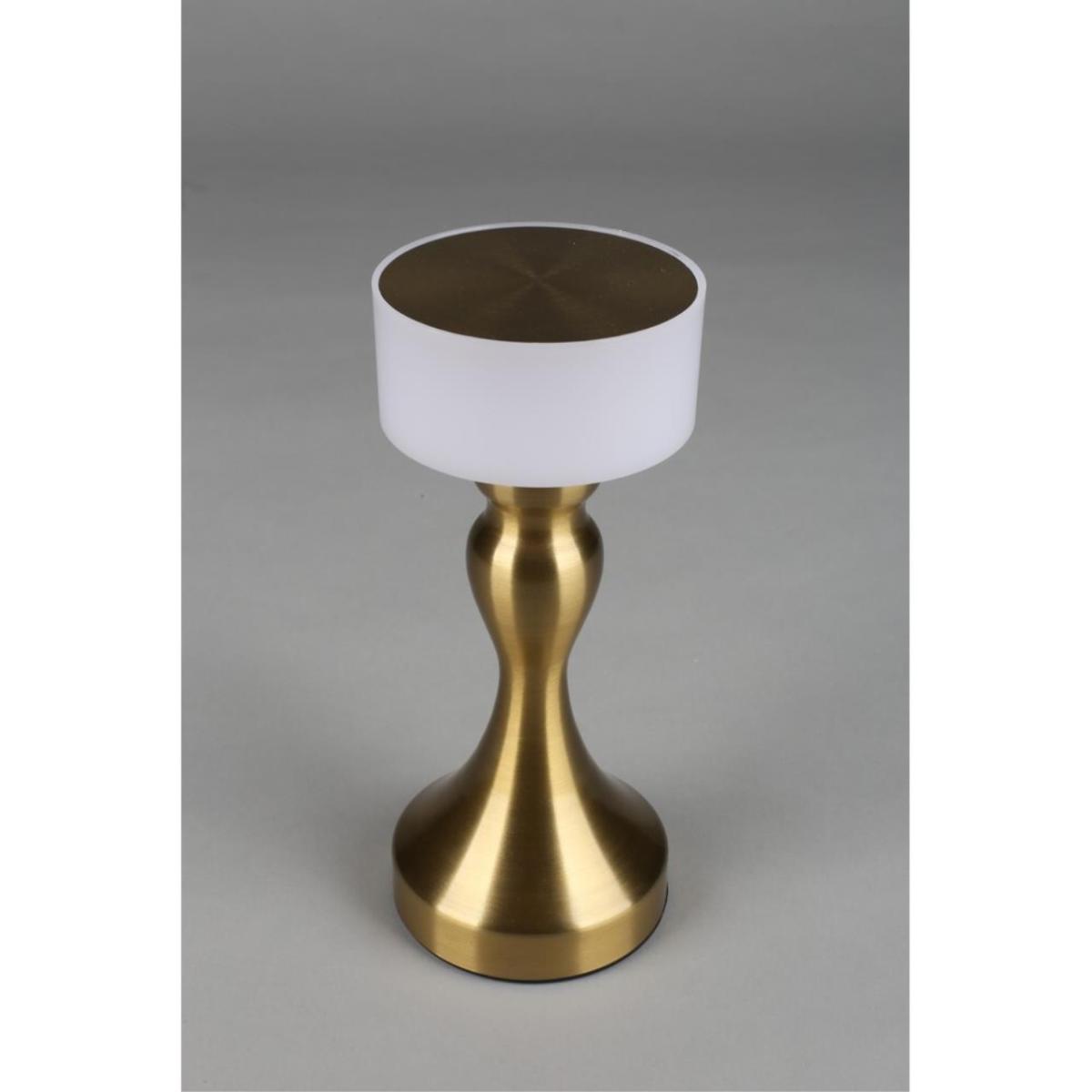 Настольная лампа Omnilux OML-40304-01 в Санкт-Петербурге