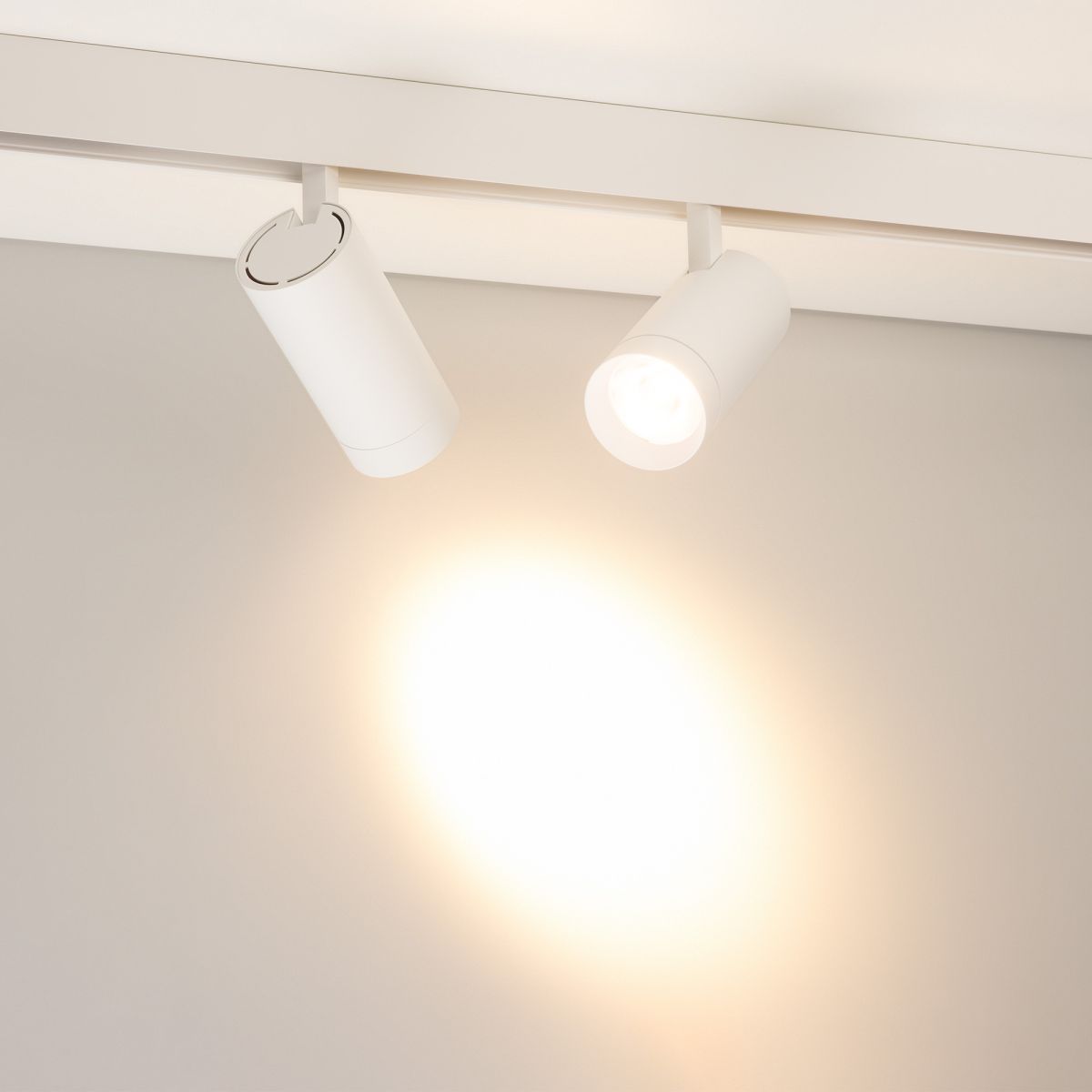 Трековый магнитный светильник Arlight MAG-ORIENT-SPOT-R65-20W Warm3000 (Белый, 24 deg, 48V, DALI) (IP20 Металл) 037125(1) в Санкт-Петербурге