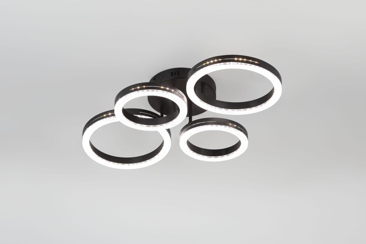 Потолочный светильник Rivoli Flora 6191-201 в Санкт-Петербурге