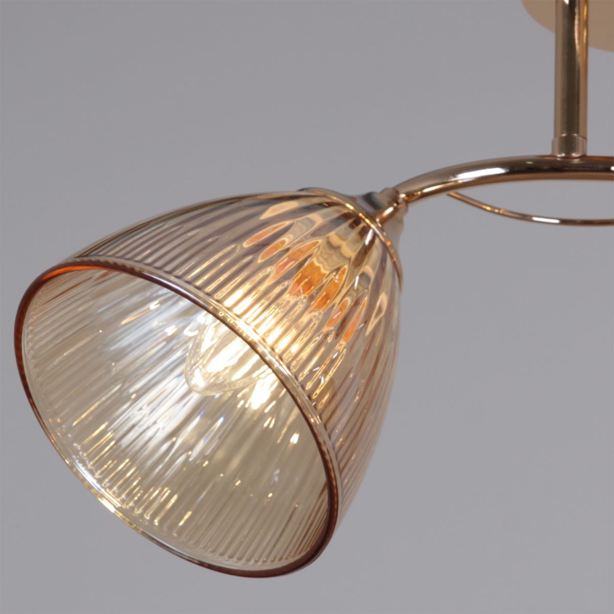 Потолочный светильник Reluce 02560-0.3-03 FG в Санкт-Петербурге