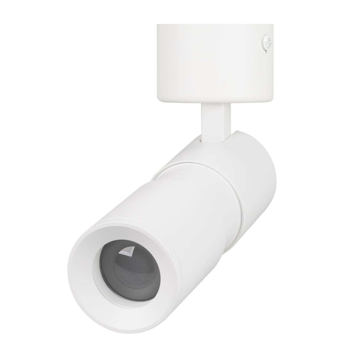 Спот Arlight SP-ARTEMIS-SURFACE-FLAP-R55-12W Warm2700 (WH, 8-80 deg, 230V) (IP20 Металл) 062248 в #REGION_NAME_DECLINE_PP#