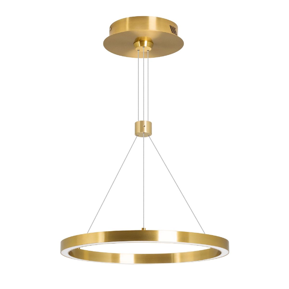 Подвесной светильник Arlight SP-CONGO-CAN-1-R400-24W Warm3000 (GD, 120 deg, 230V) 046209 в Санкт-Петербурге