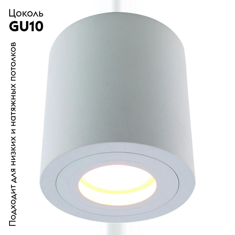 Потолочный светильник Divinare Galopin 1460/03 PL-1 в Санкт-Петербурге