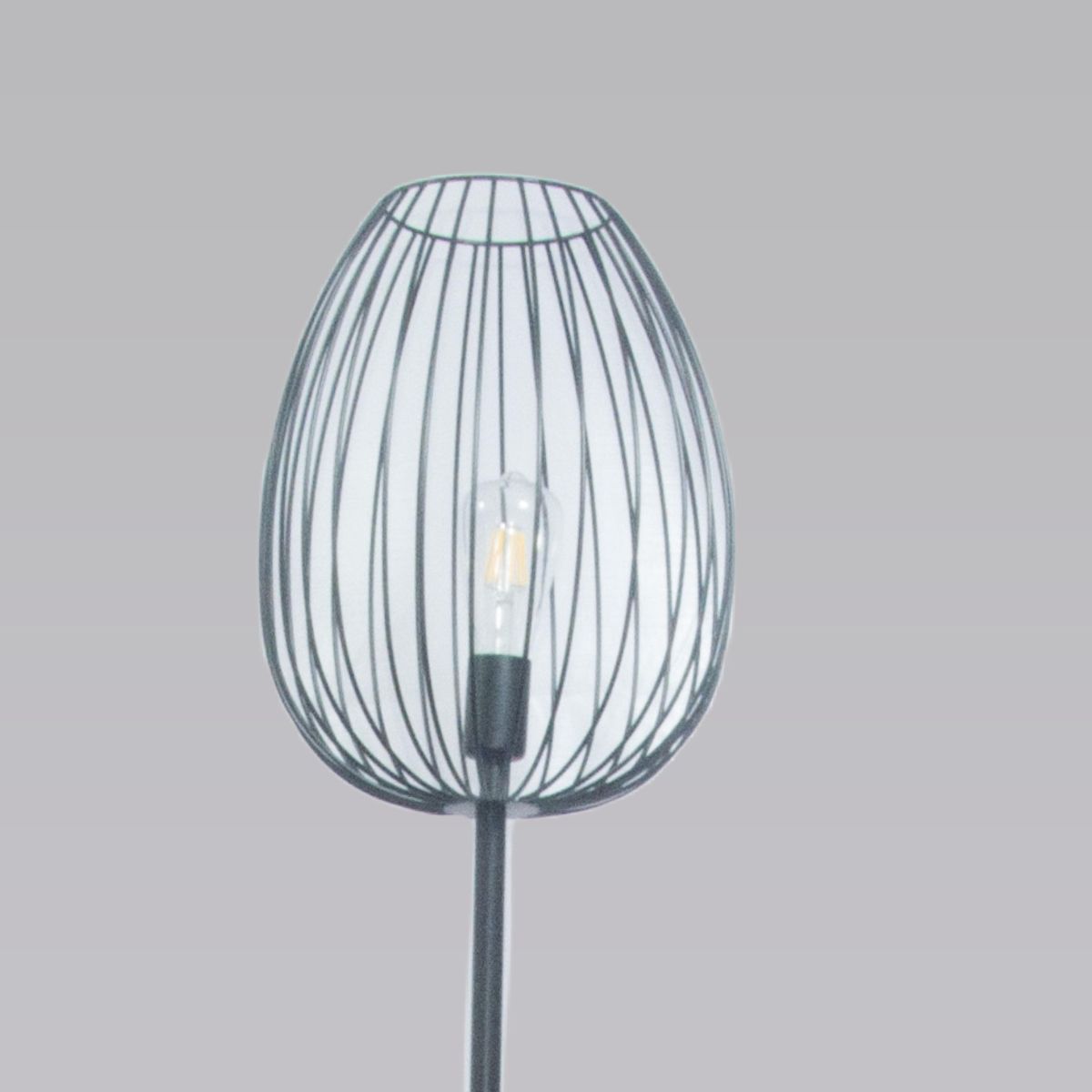 Торшер Alfa Light F3524-43 в Санкт-Петербурге