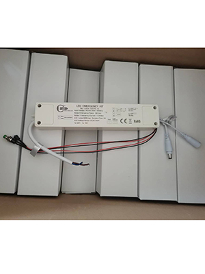 Блок аварийного питания Светон AC 220-240V 50/60Hz, DC 50-200V  5W 1H CB-K0200010 в Санкт-Петербурге