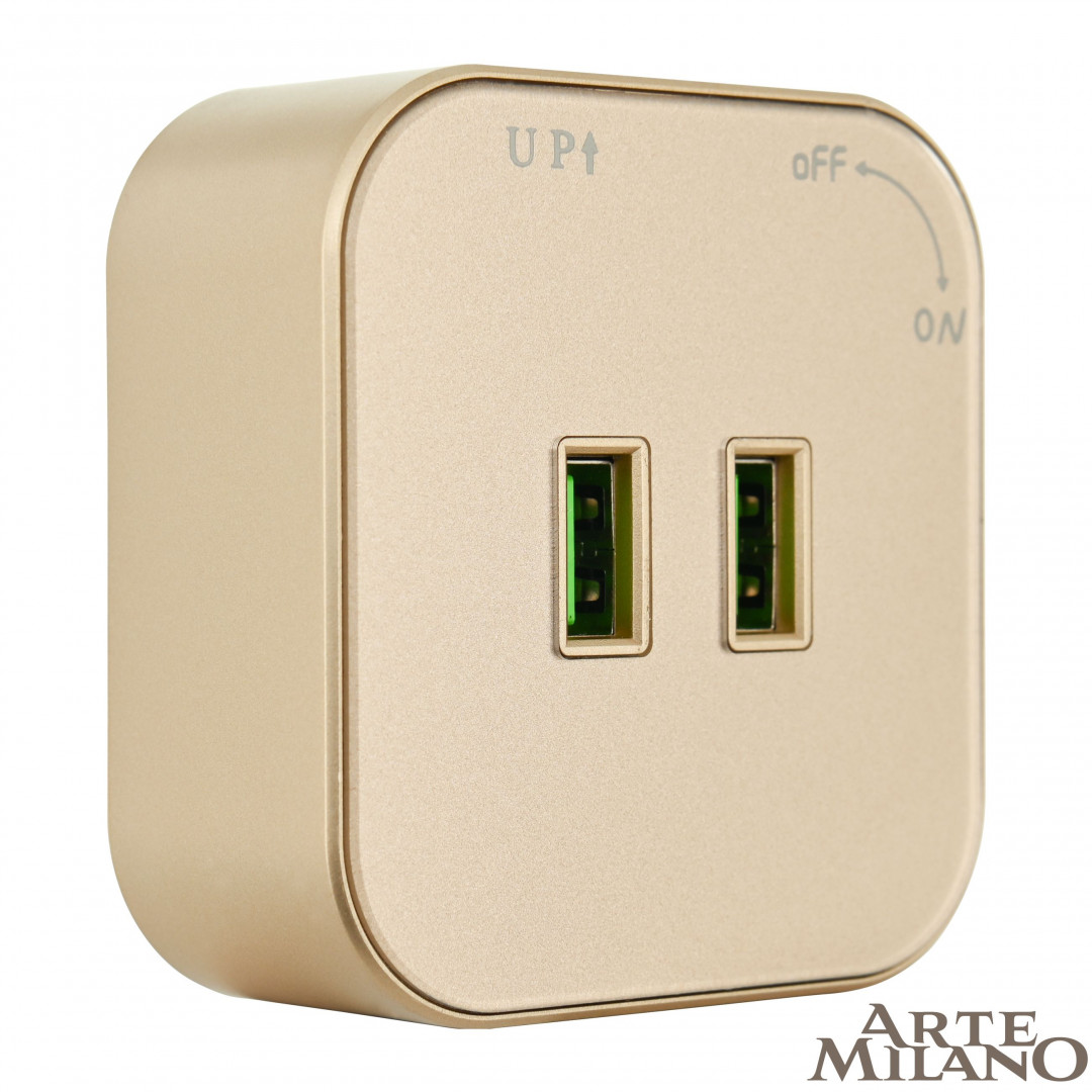 Трековая розетка Arte Milano Am-track-sockets 380022TS/USBx2 Gold в Санкт-Петербурге