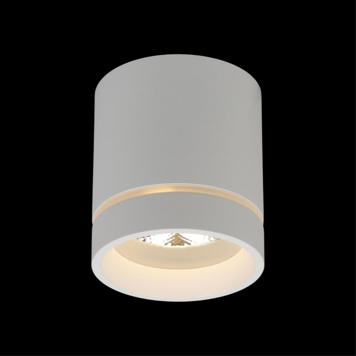 Потолочный светильник Aployt Gita APL.0043.09.05 в Санкт-Петербурге