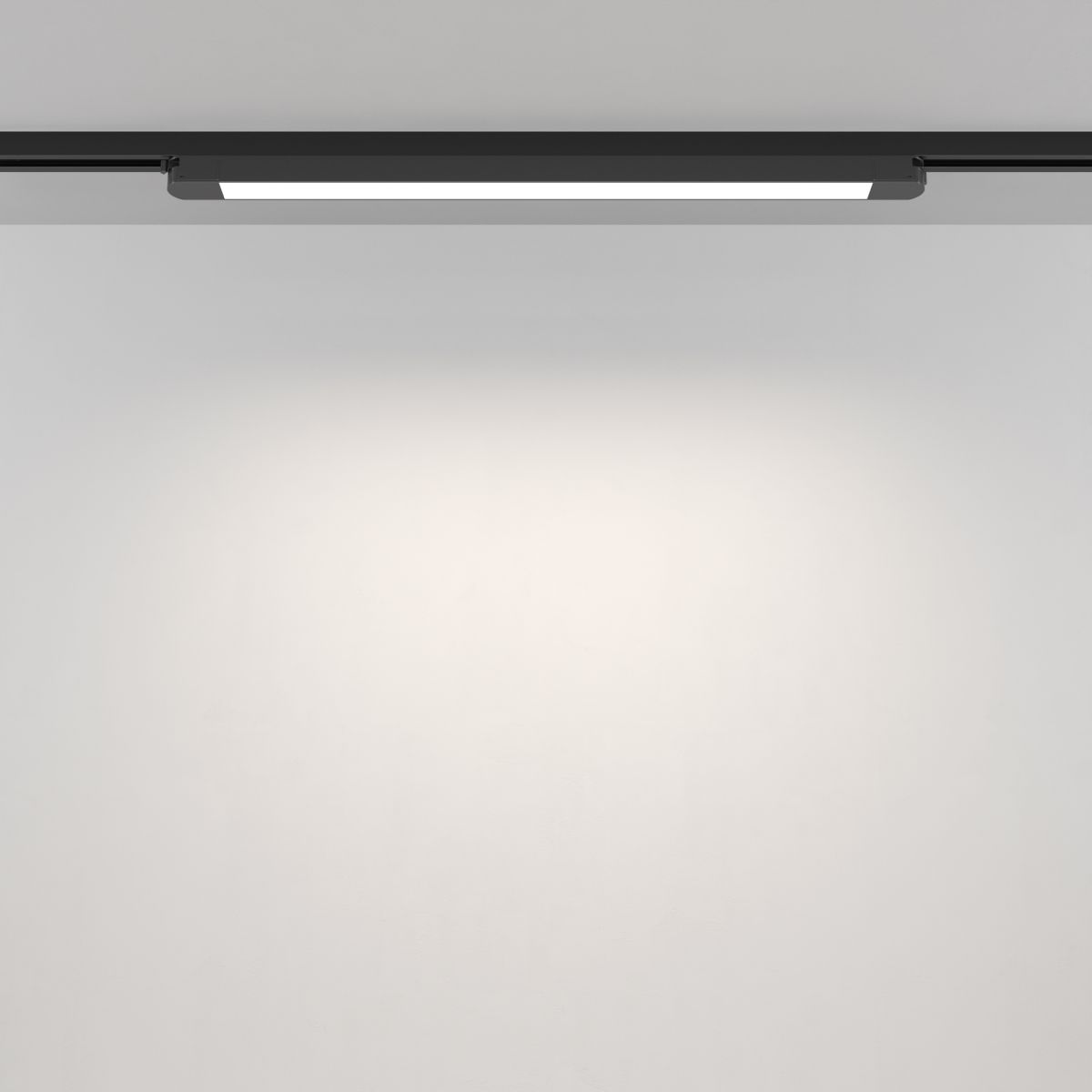 Трековый однофазный светильник Maytoni Technical Basis TR000-1-24W4K-B_1 в #REGION_NAME_DECLINE_PP#