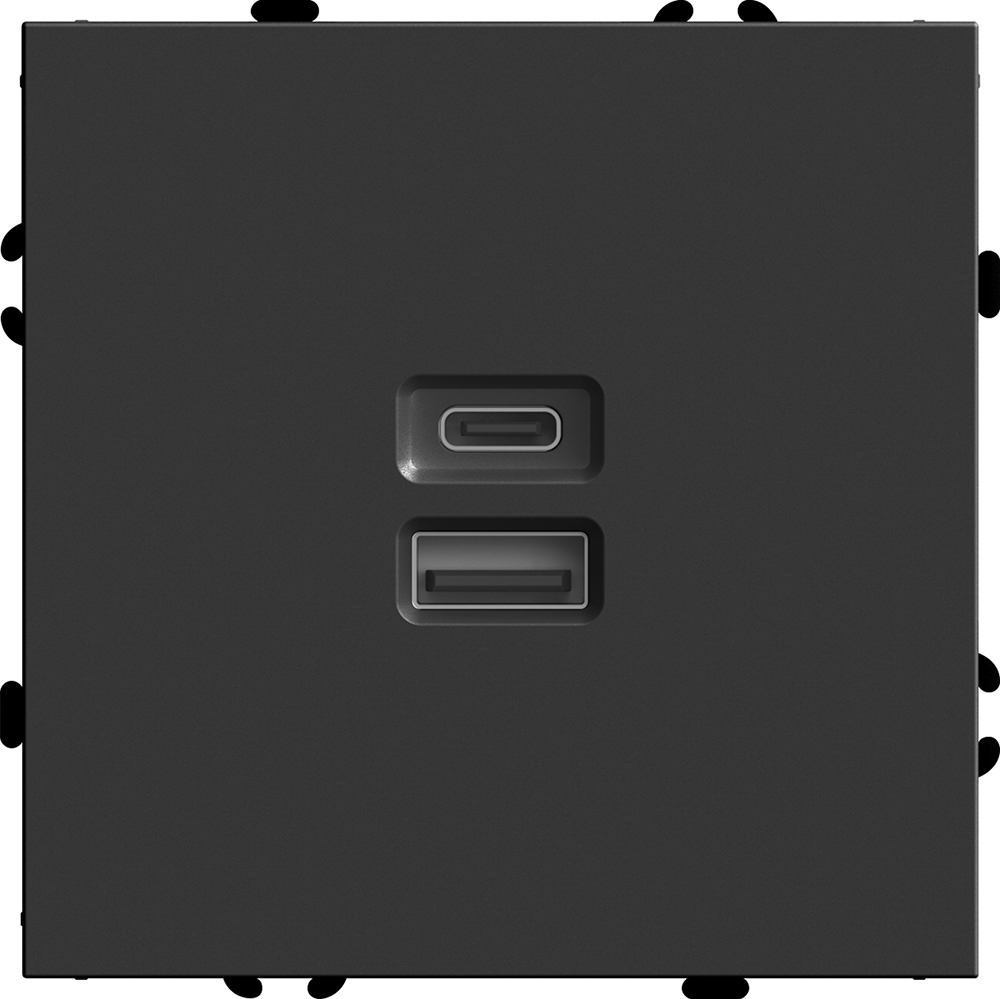 Розетка 2-местная USB + Type C Stekker RST10-5115-05 Эмили 49853 в Санкт-Петербурге