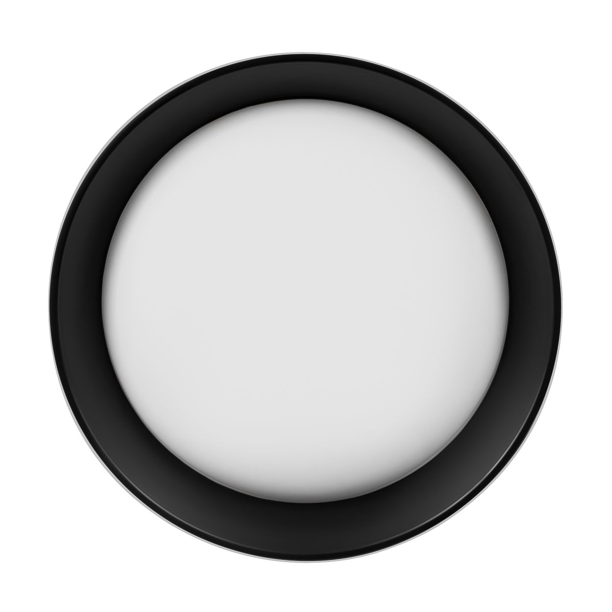 Потолочный светильник Loft IT Coin 10202 WB в Санкт-Петербурге