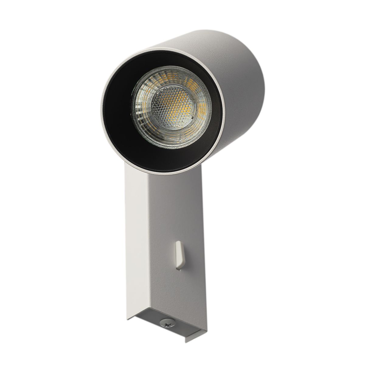 Спот Citilux Axel CL512510 в Санкт-Петербурге