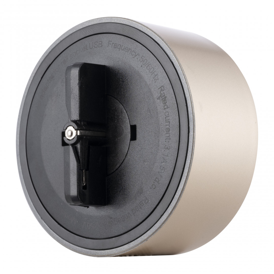 Трековая розетка Arte Milano Am-track-sockets-39 399732TS/USB-Type-C Gold в Санкт-Петербурге