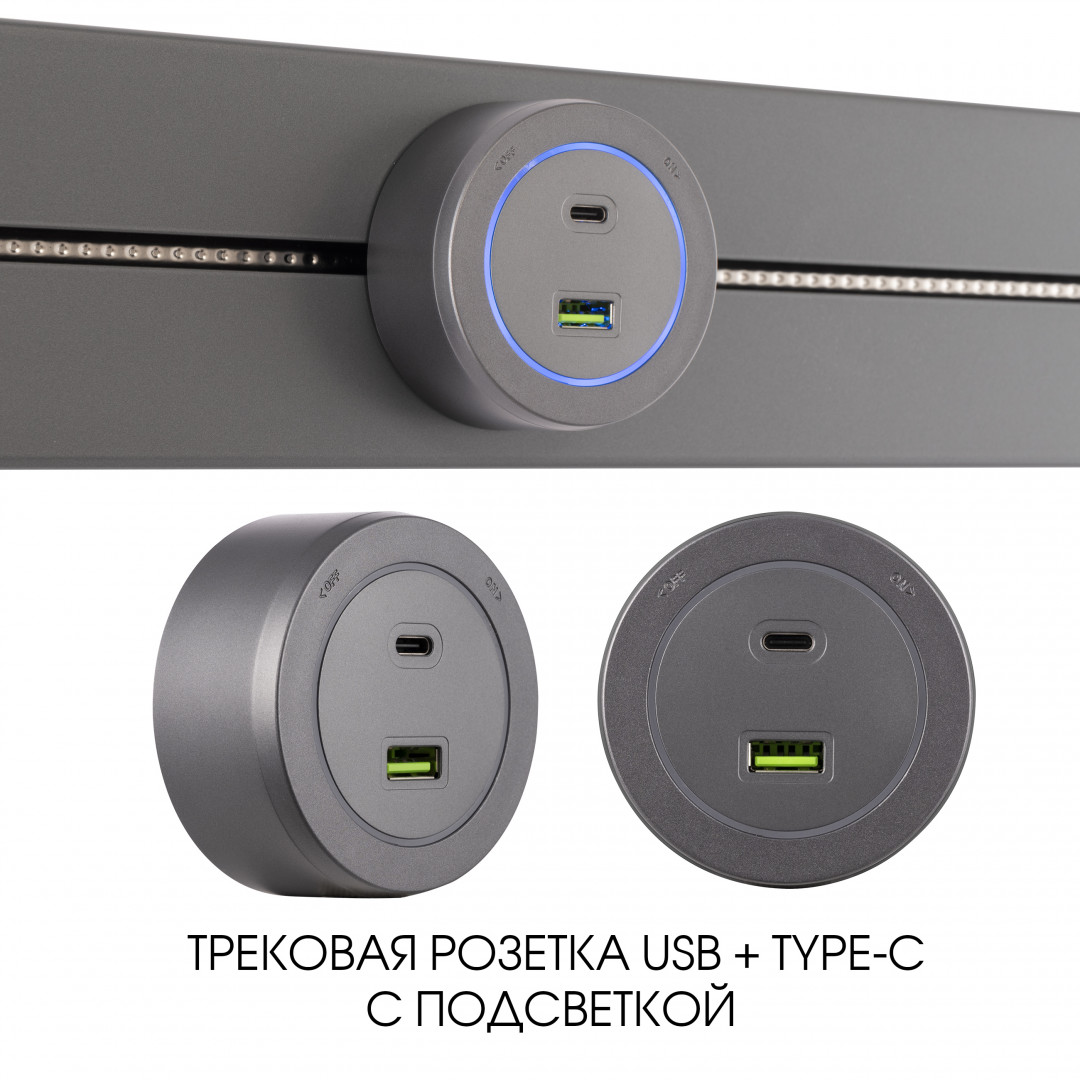 Трековая розетка Arte Milano Am-track-sockets-39 399731TS/USB-Type-C Grey в Санкт-Петербурге