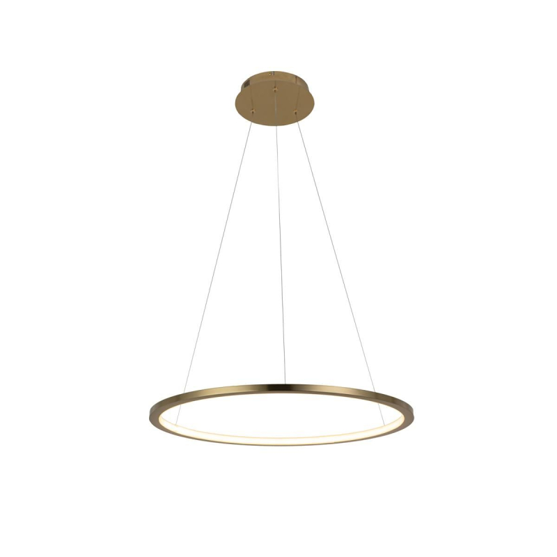 Подвесной светодиодный светильник Loft IT Ring 10014M УЦ в Санкт-Петербурге