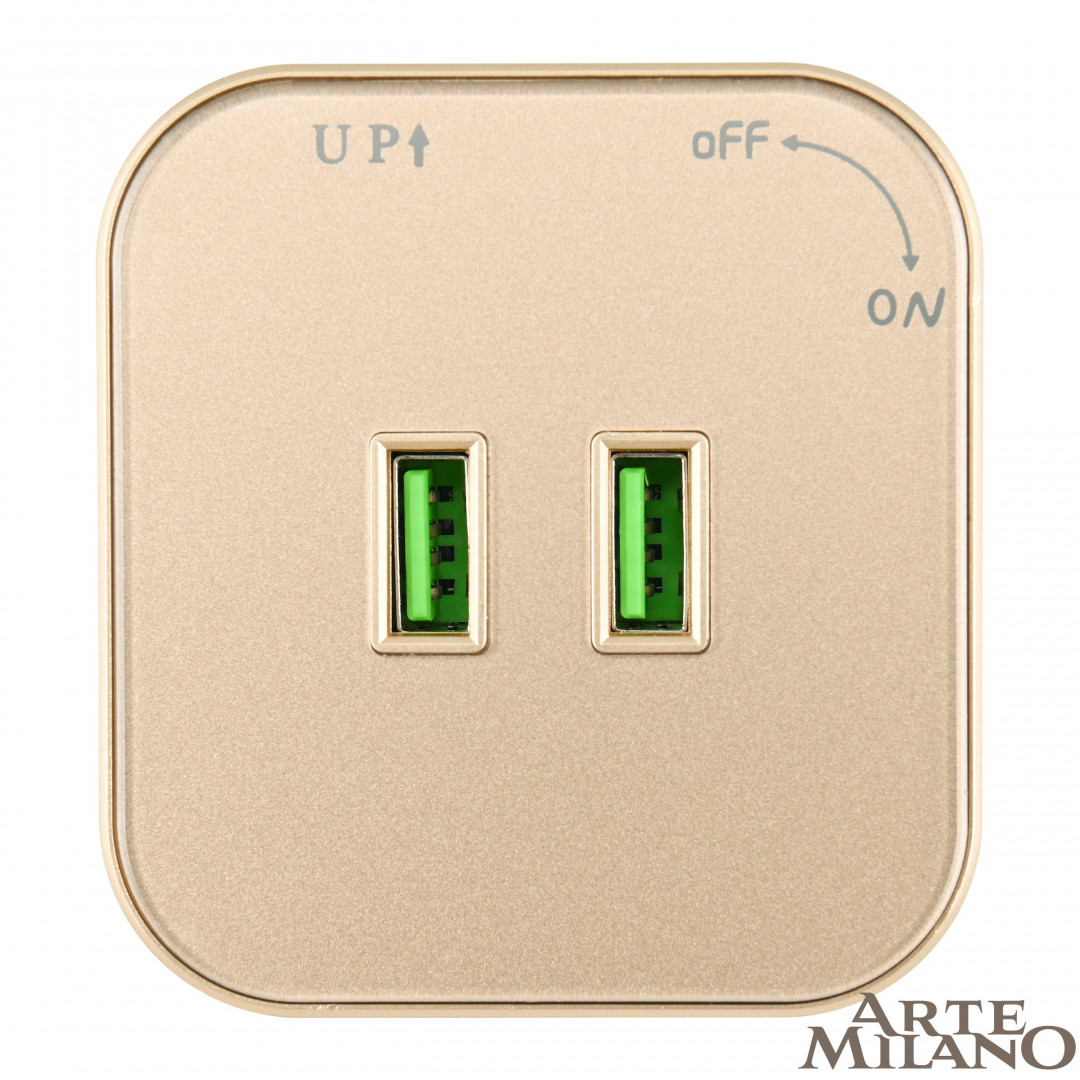 Трековая розетка Arte Milano Am-track-sockets 380022TS/USBx2 Gold в Санкт-Петербурге