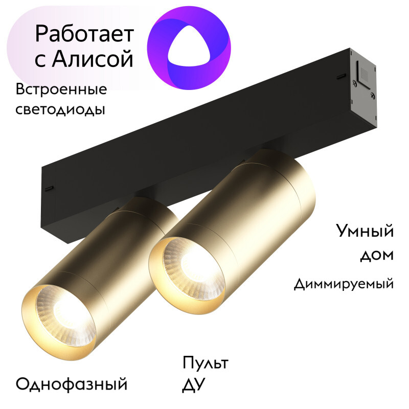 Трековый светильник Denkirs Smart DK8012-BG в Санкт-Петербурге