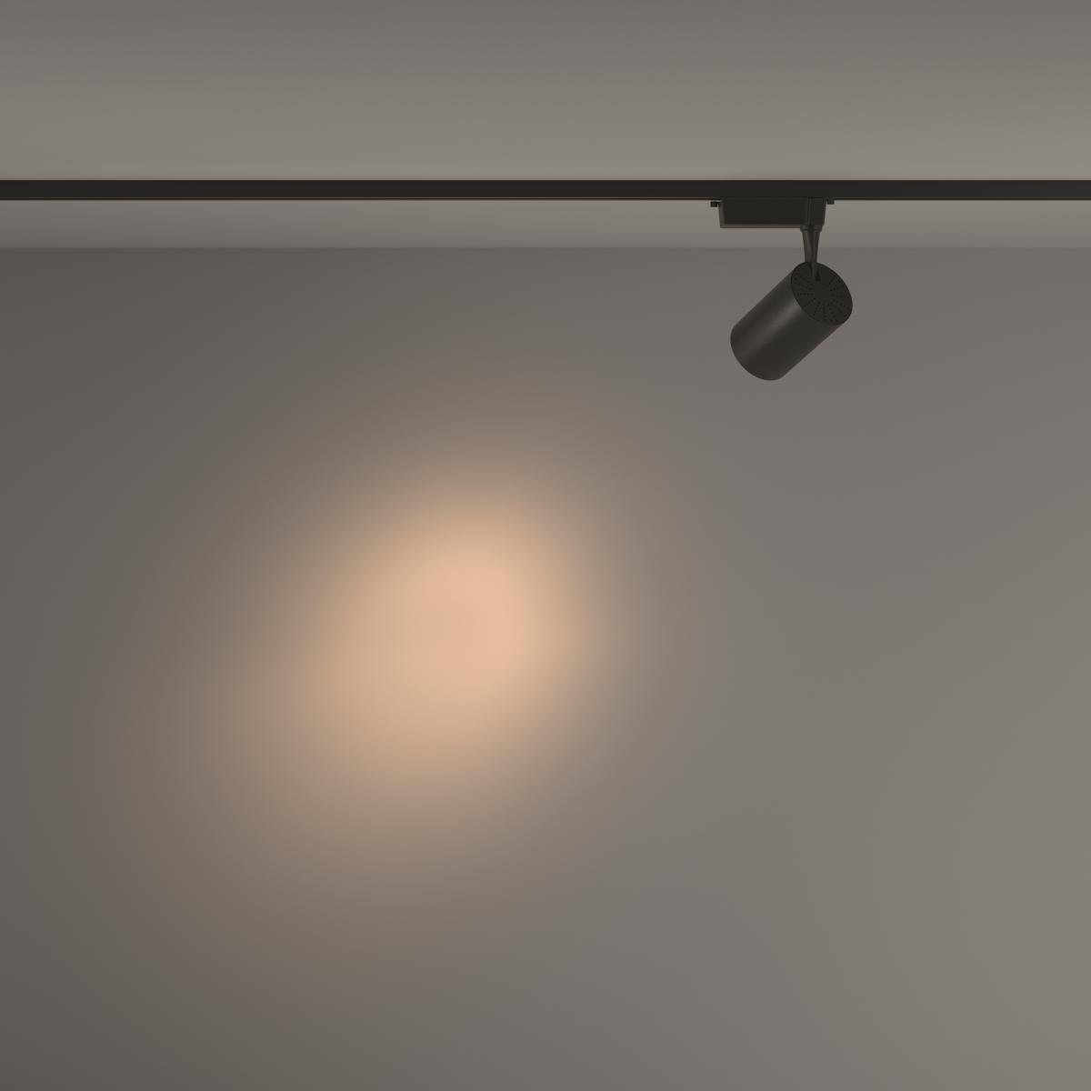 Трековый светильник Maytoni Technical Vuoro TR003-1-15W3K-S-B в Санкт-Петербурге