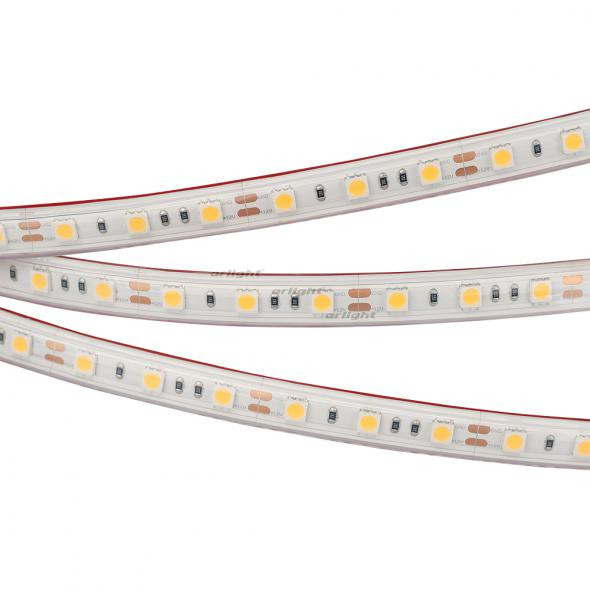 Светодиодная лента Arlight RTW 2-5000PS 12V White6000 2x (5060, 300 LED, LUX) 022323 в Санкт-Петербурге
