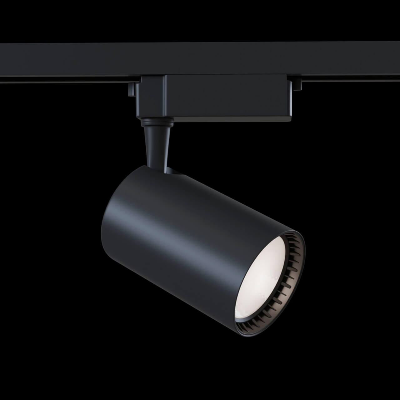 Трековый светильник Maytoni Track lamps TR003-1-30W3K-B в Санкт-Петербурге