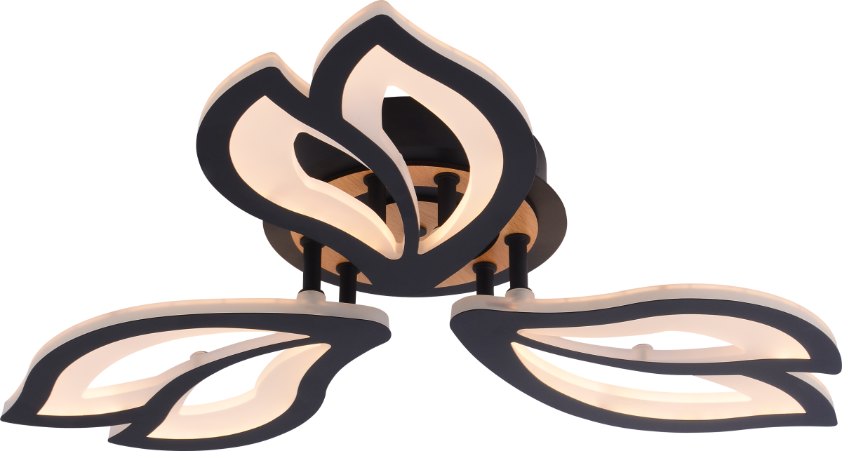 Потолочный светильник Rivoli Lana 6195-703 Б0070142 в Санкт-Петербурге