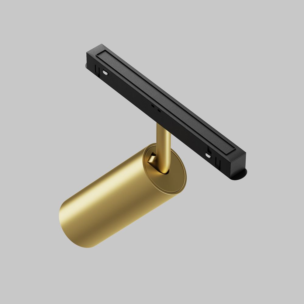 Трековый светильник Maytoni Technical Focus LED TR032-2-12W3K-S-MG в Санкт-Петербурге
