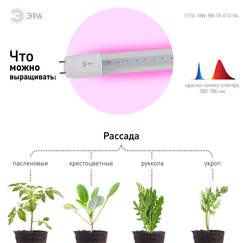 Фитолампа для растений Эра FITO-18W-RB-Т8-G13-NL Б0042990 в Санкт-Петербурге