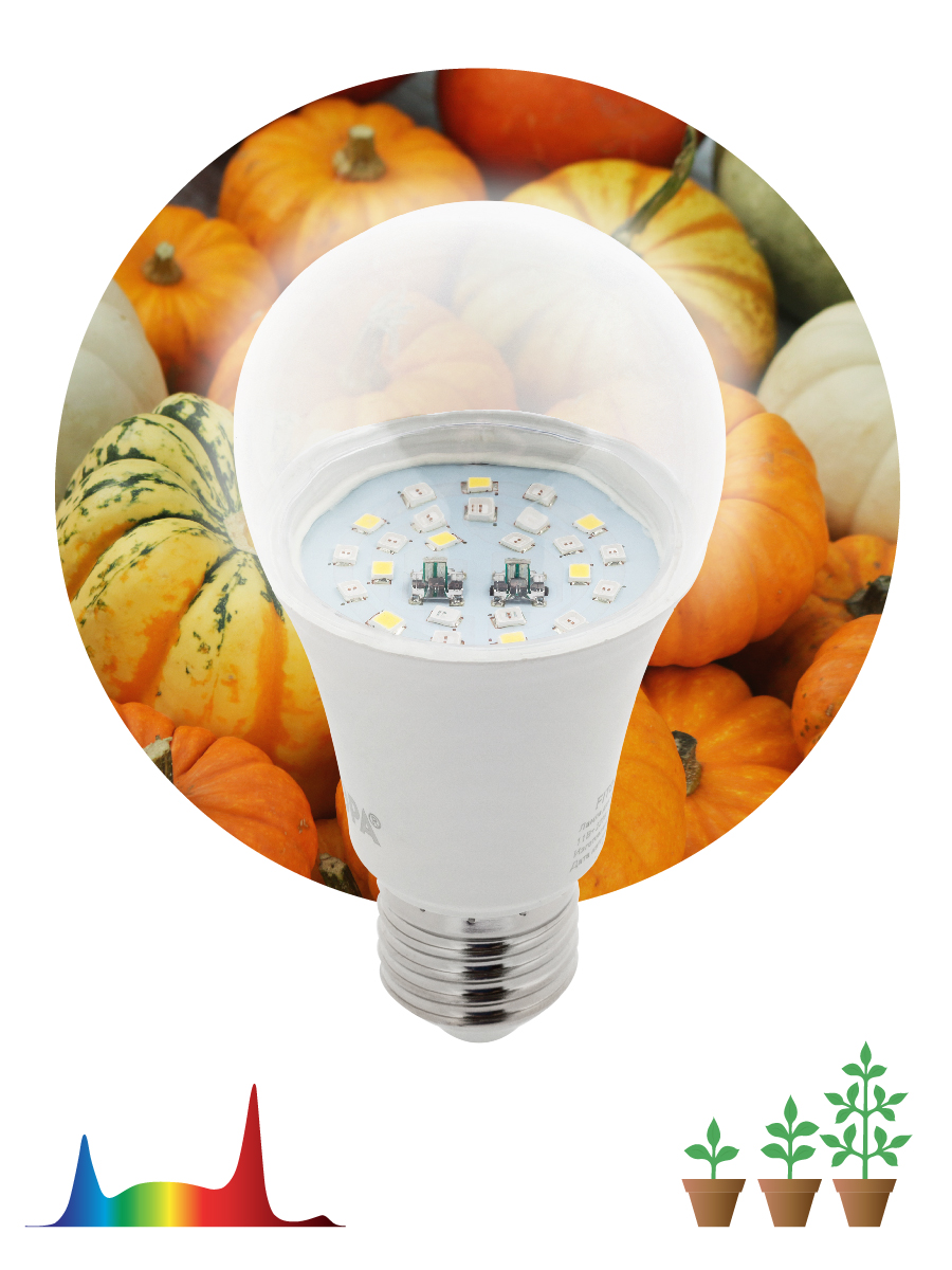 Фитолампа для растений Эра FITO-11W-Ra90-E27 Б0050603 в Санкт-Петербурге
