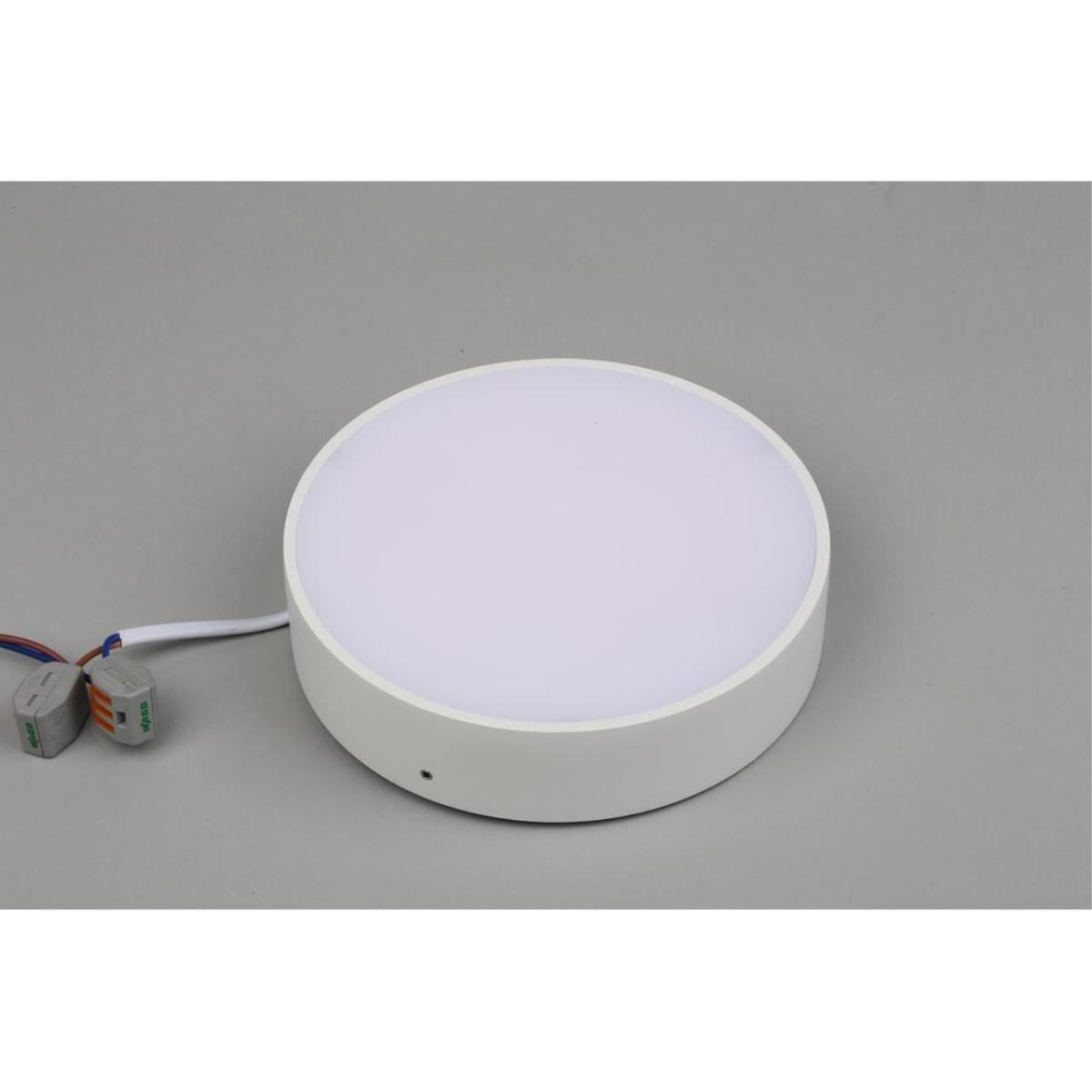 Потолочный светильник Aployt Evon APL.0113.09.18 в Санкт-Петербурге