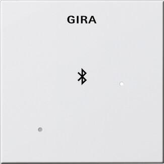 Лицевая панель Gira System 55 для вставки док-станции чисто-белый глянцевый 228803 в Санкт-Петербурге