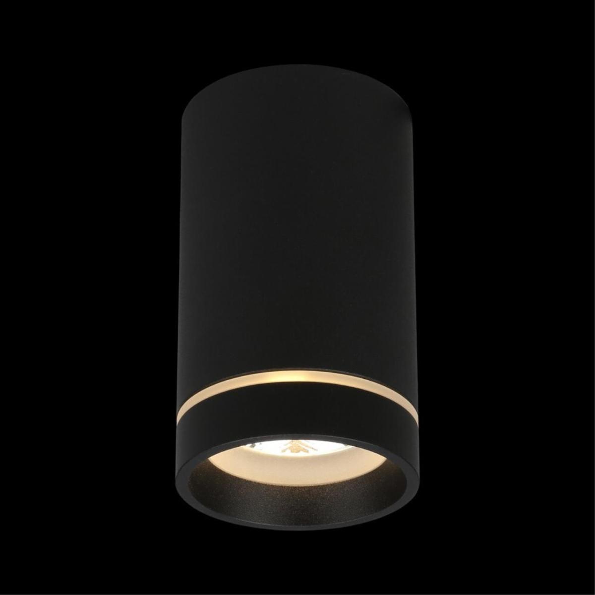 Потолочный светильник Aployt Edda APL.0053.19.10 в Санкт-Петербурге