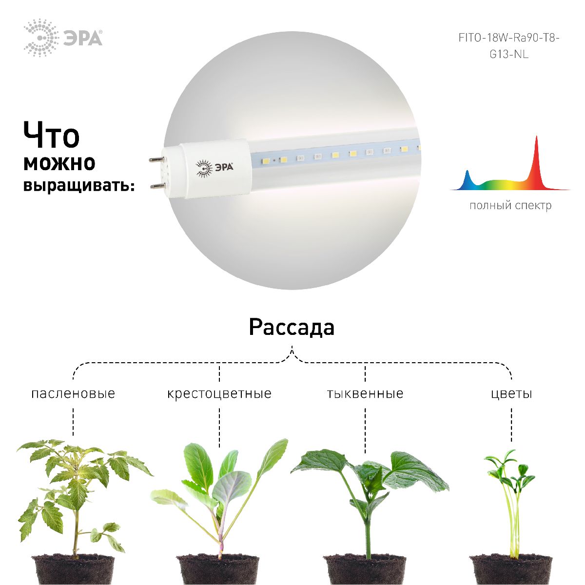 Фитолампа для растений светодиодная Эра G13 18W 1200K FITO-18W-Ra90-Т8-G13-NL Б0042987 в #REGION_NAME_DECLINE_PP#