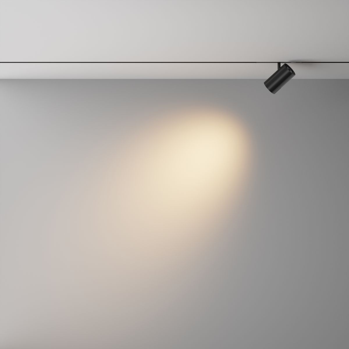 Трековый магнитный светильник Maytoni Technical Focus Led Exility X TR243-4-12WTW-DSZ-B в Санкт-Петербурге