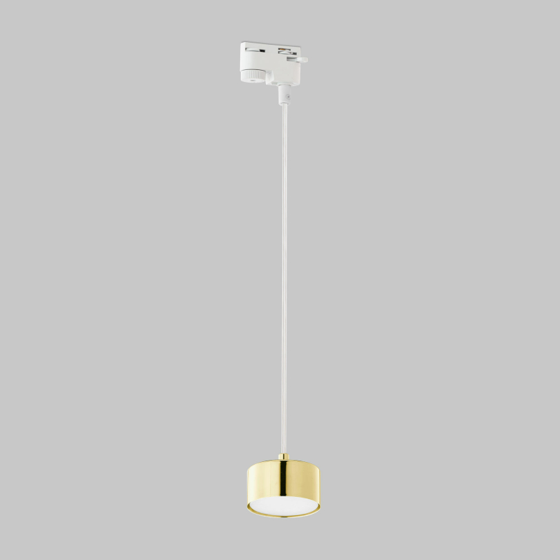 Трековый светильник TK Lighting 4481 Tracer Gold в Санкт-Петербурге