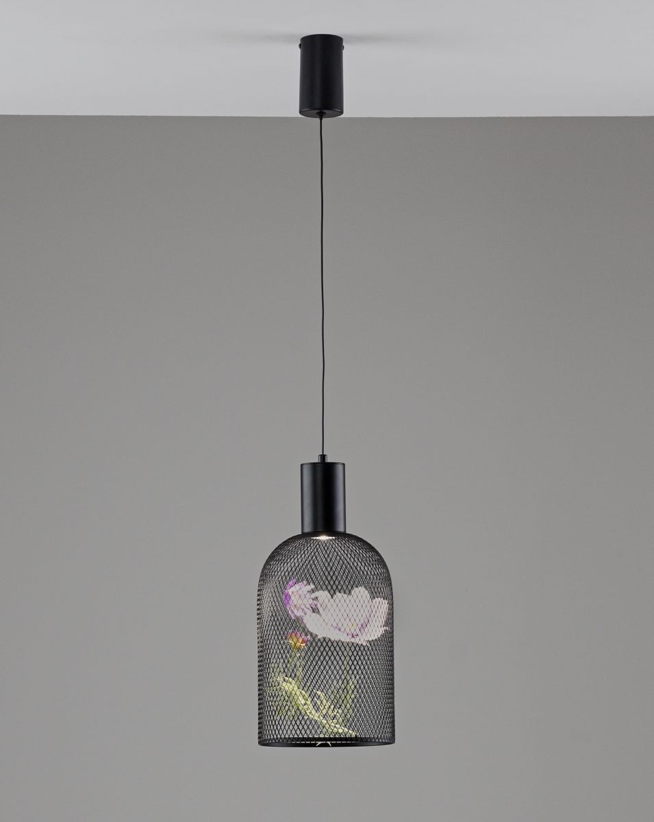 Подвесной светильник Moderli Ophelia V11874-PL в #REGION_NAME_DECLINE_PP#