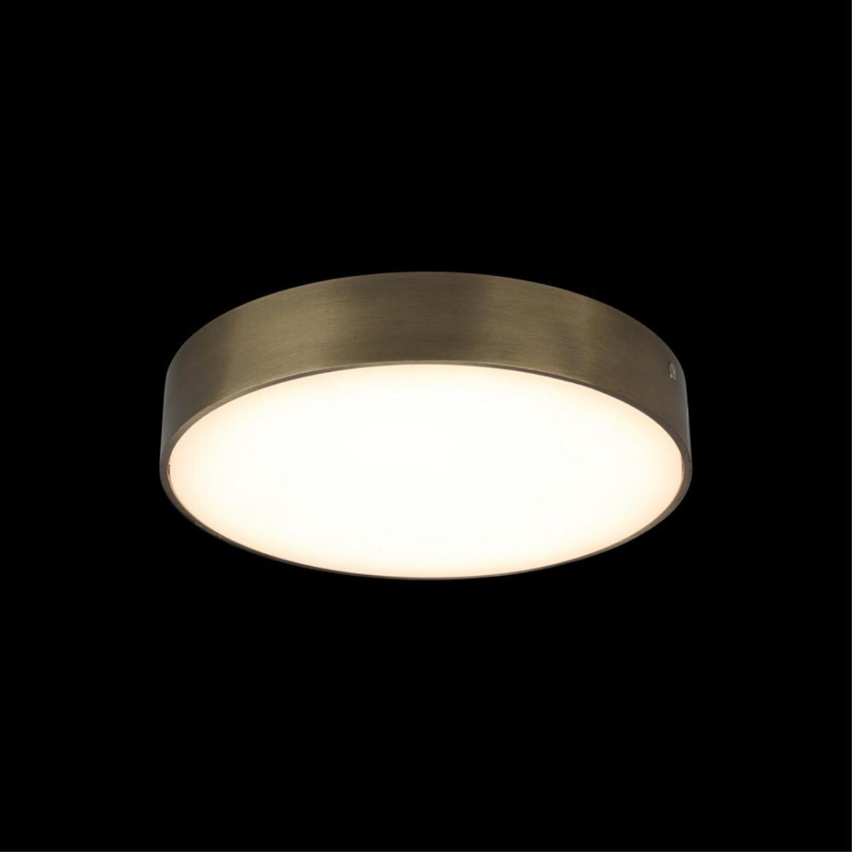 Потолочный светильник Aployt Evon APL.0113.29.24 в Санкт-Петербурге