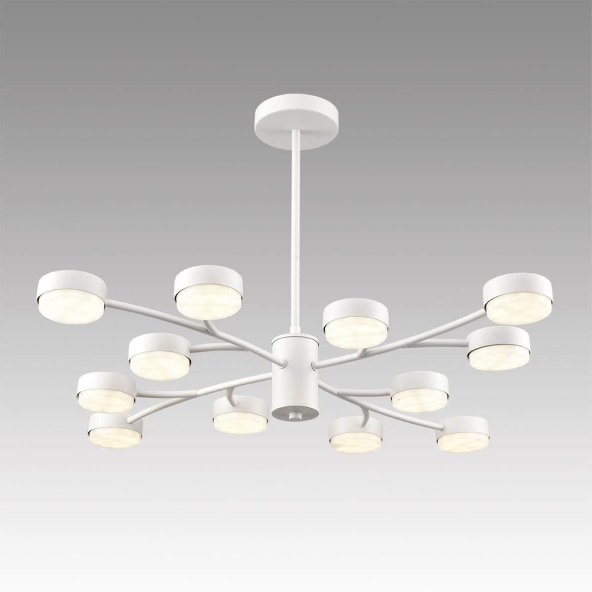 Люстра на штанге Lumion Comfi Torina 8265/12 в Санкт-Петербурге