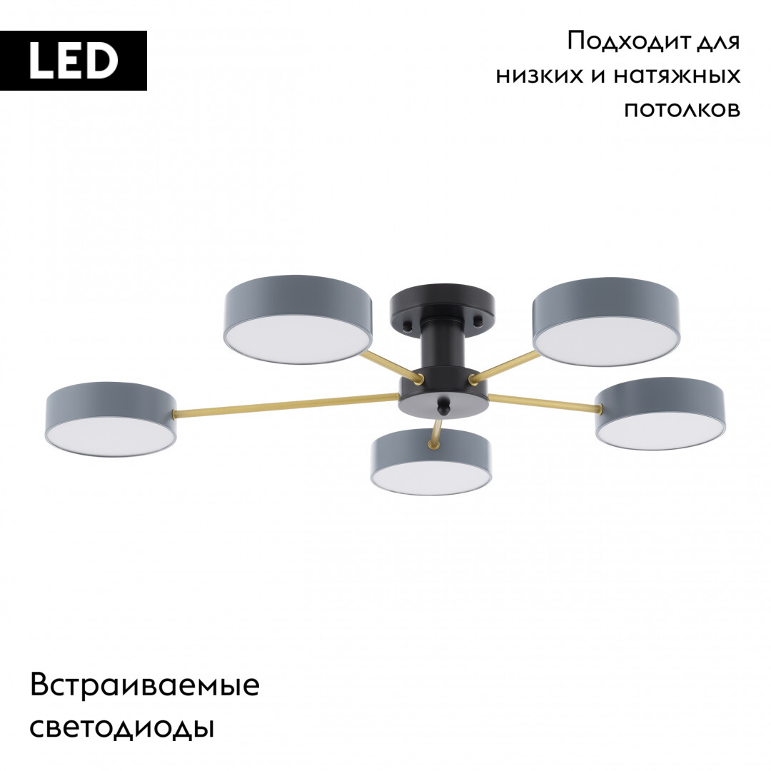 Потолочная люстра Arte Milano Ferrara 252006/5 Bk/Gr в Санкт-Петербурге