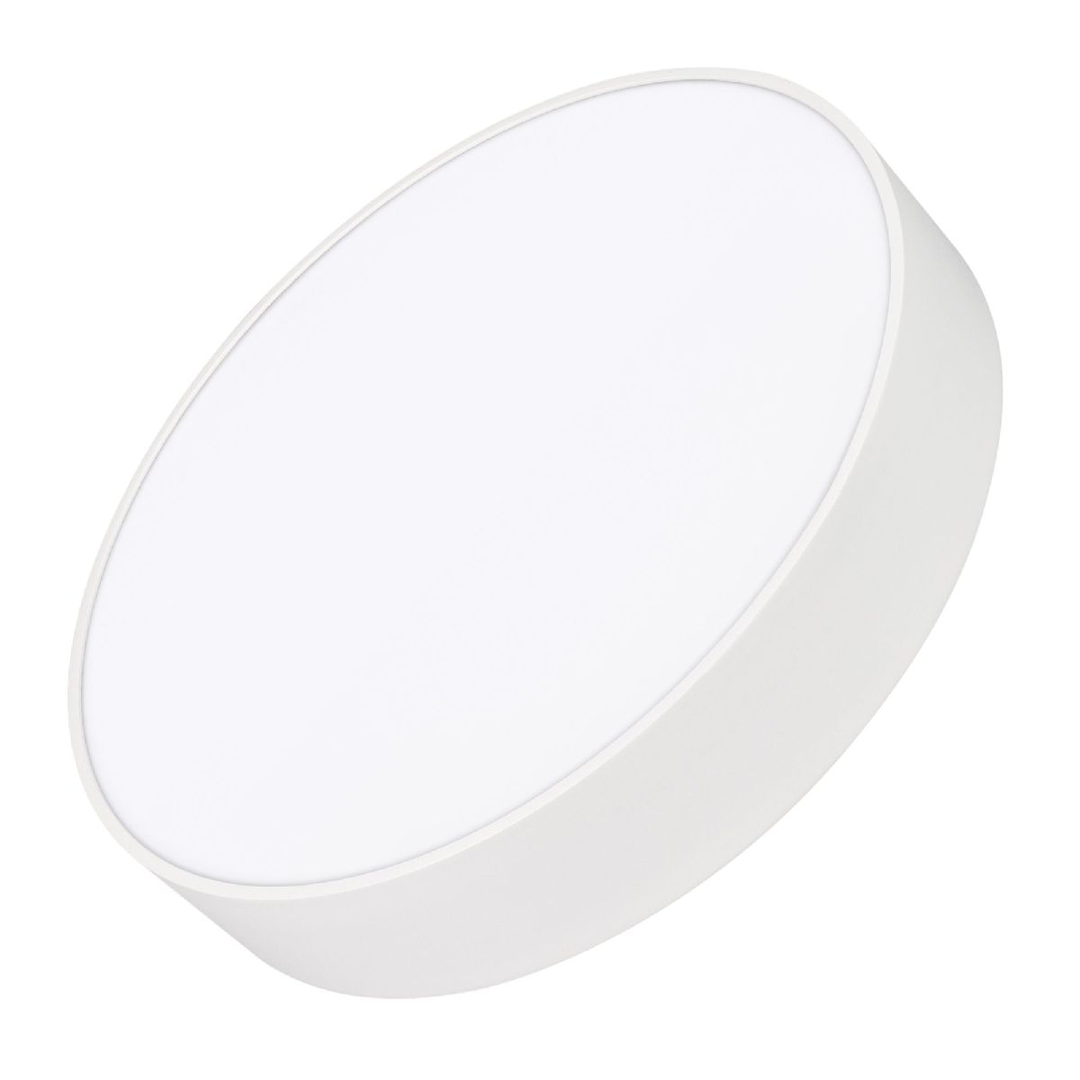 Потолочный светильник Arlight IM-RONDO-EMERGENCY-3H-R350-33W Day4000 (WH, 120 deg, 230V) 041066 в Санкт-Петербурге