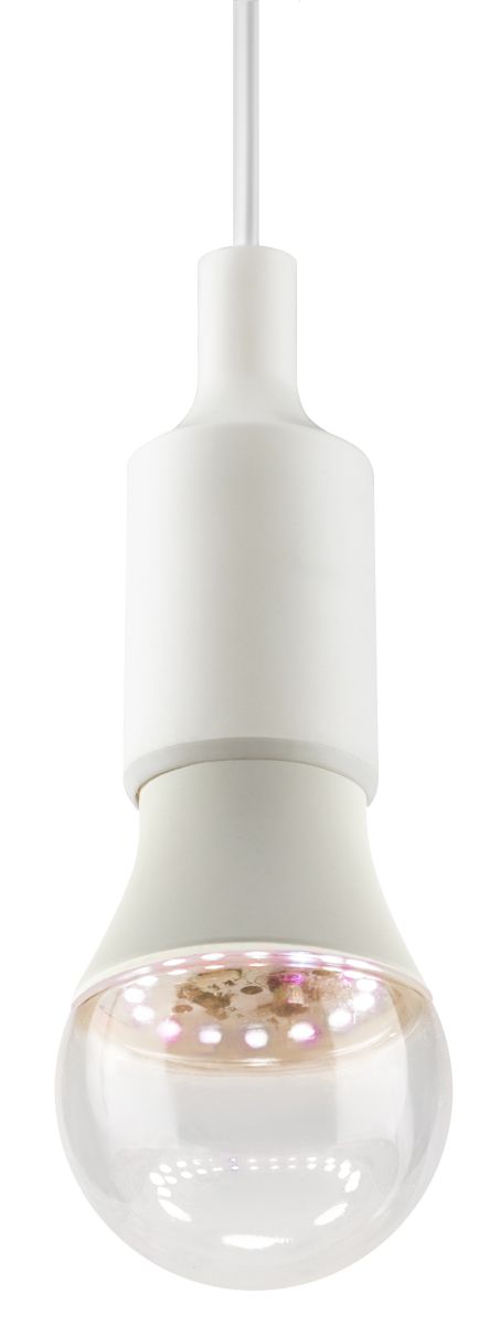 Светодиодная фитолампа для растений Эра ФИТО А60-15W-PFR-E27-GR Б0064527 в Санкт-Петербурге