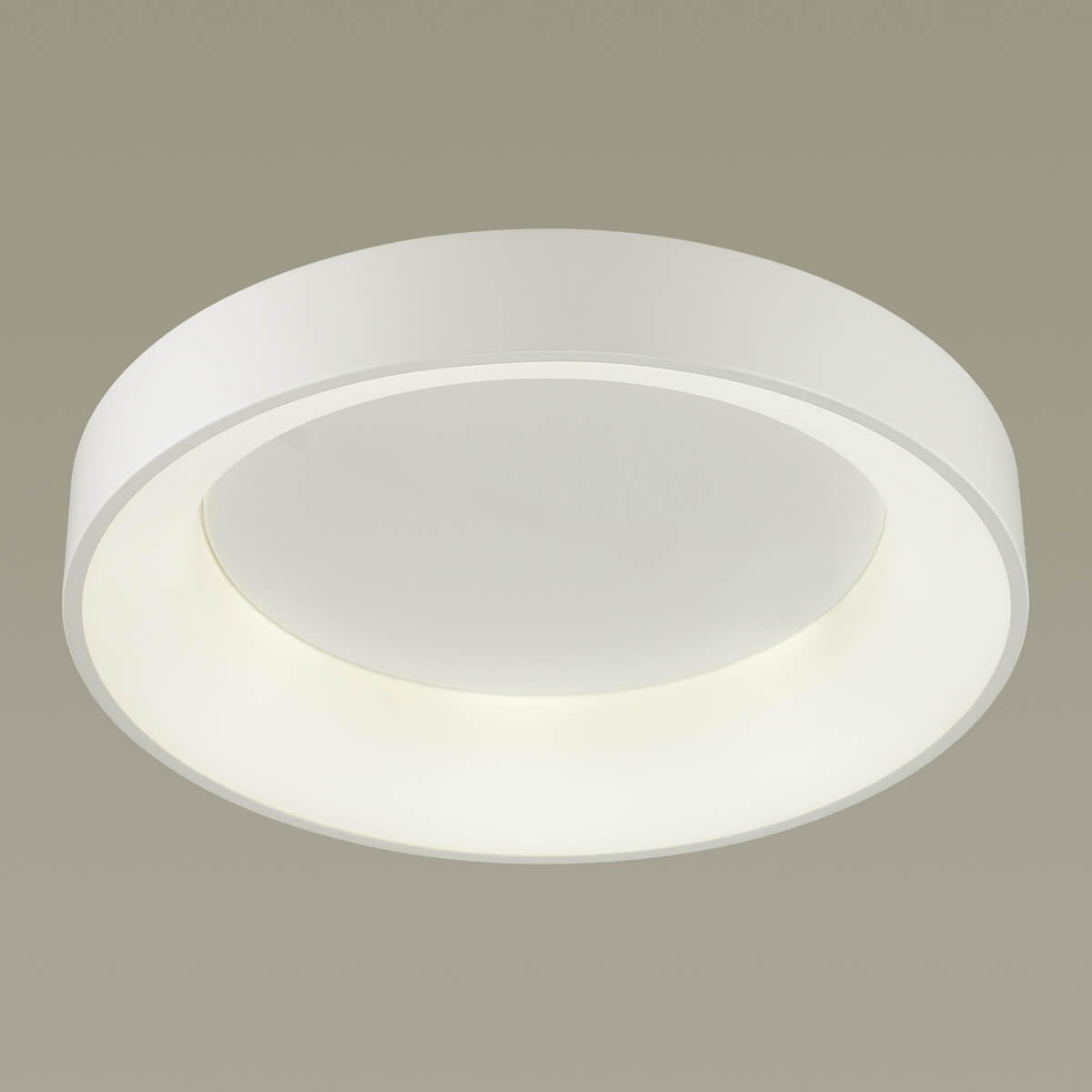 Потолочный светодиодный светильник Odeon Light Sole 4062/50CL в #REGION_NAME_DECLINE_PP#