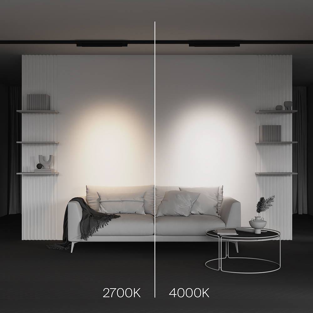Трековый трехфазный светильник Maytoni Points TR195-3-20W4K-M-B в Санкт-Петербурге