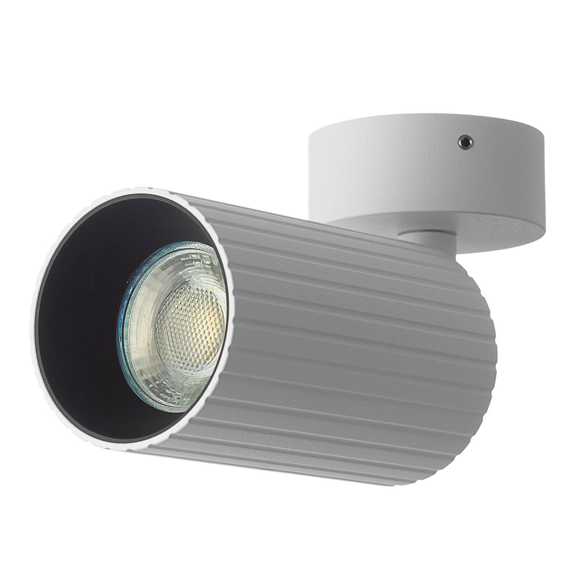 Накладной спот Citilux Axel CL512210R в Санкт-Петербурге