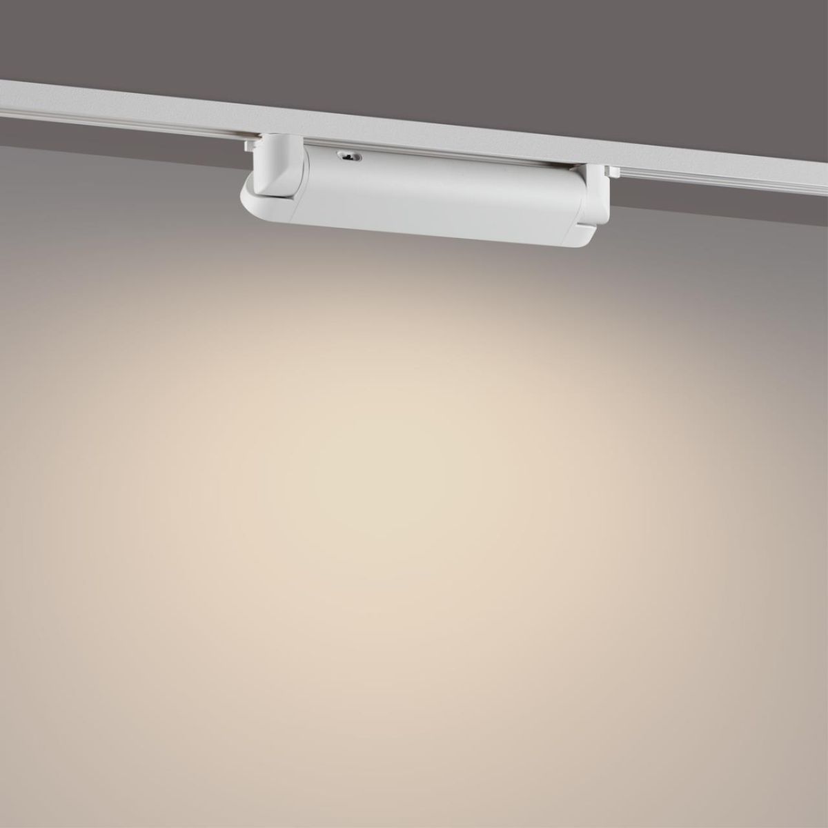 Трековый однофазный двухжильный светильник с переключателем цветовой температуры Novotech Port Iter 359793 в Санкт-Петербурге
