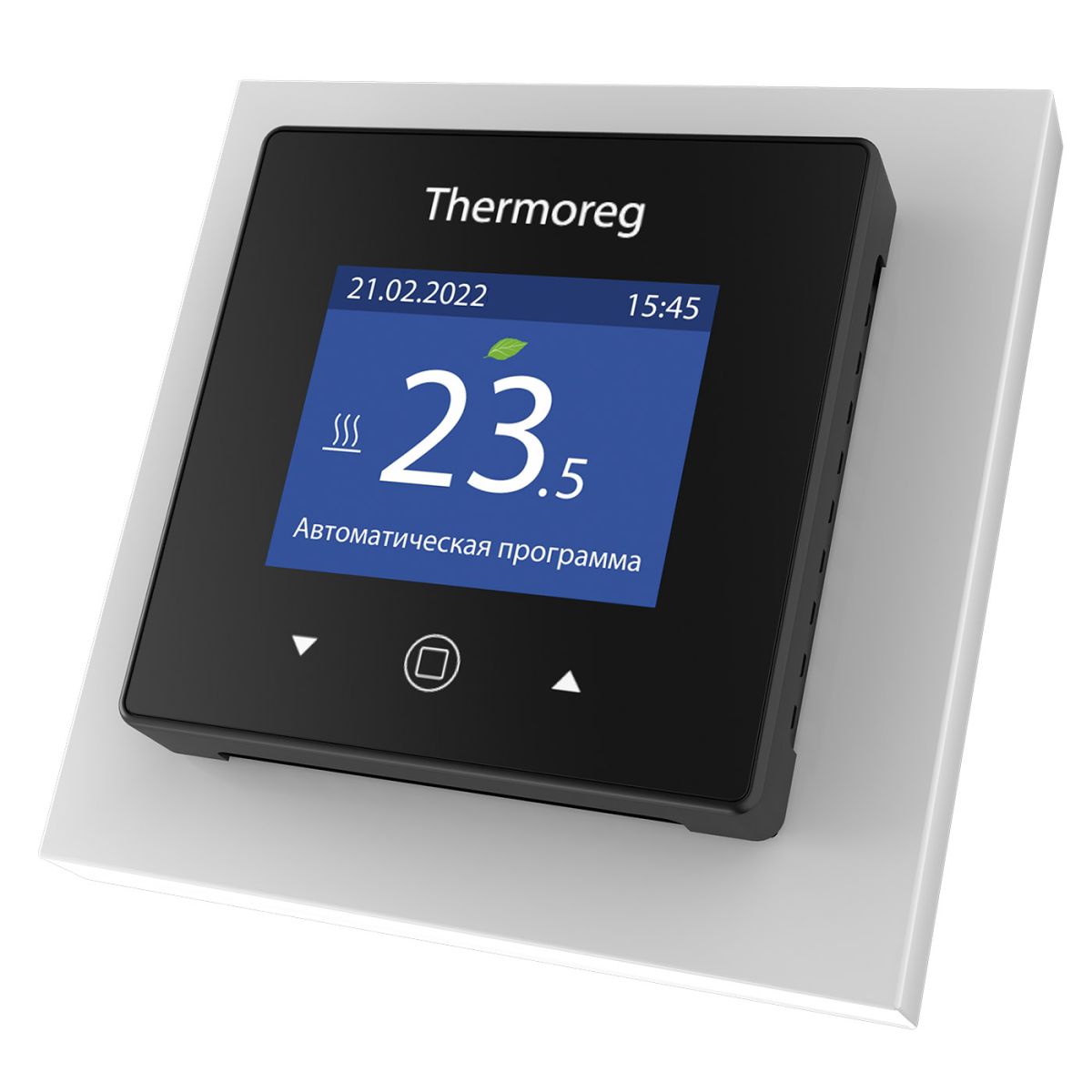 Терморегулятор Thermoreg TI-970 в Санкт-Петербурге